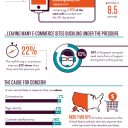 Black Friday e-Commerce Growth 2013 [INFOGRAPHIC]